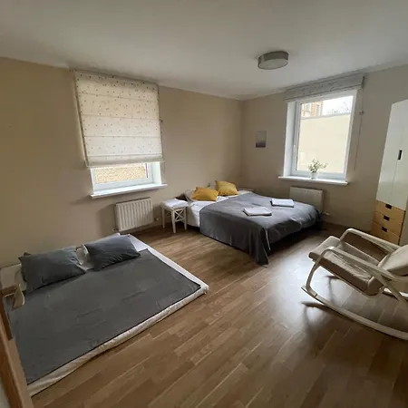 Quiet And Spacious Oasis In Center, Parking Available Apartment *