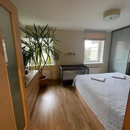 Quiet And Spacious Oasis In Center, Parking Available *