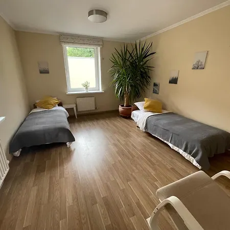 Quiet And Spacious Oasis In Center, Parking Available Apartment *